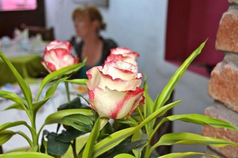 Casa De Las Rosas 쿠엔카 객실 사진